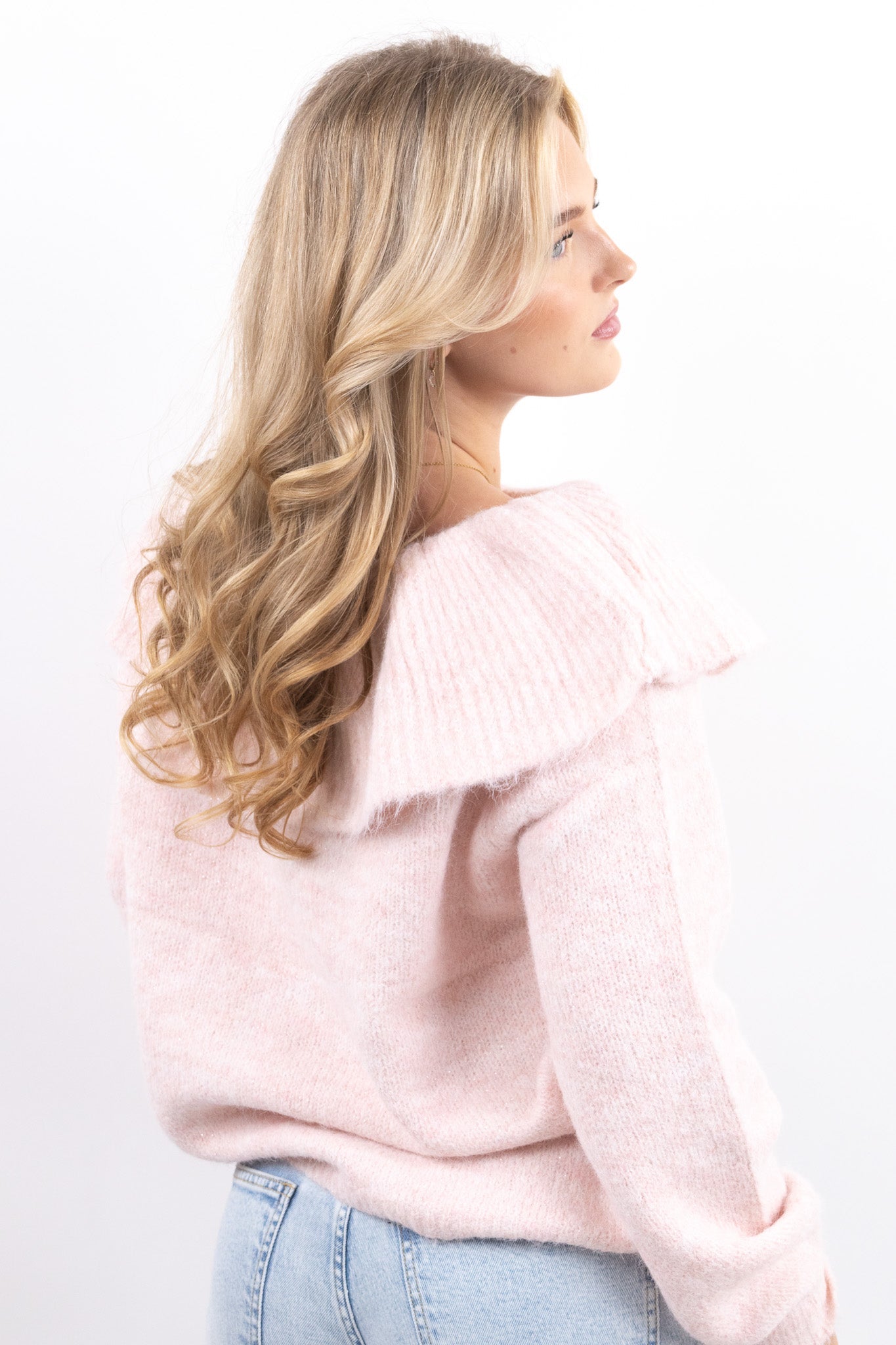 Shimmer Knit Sweater