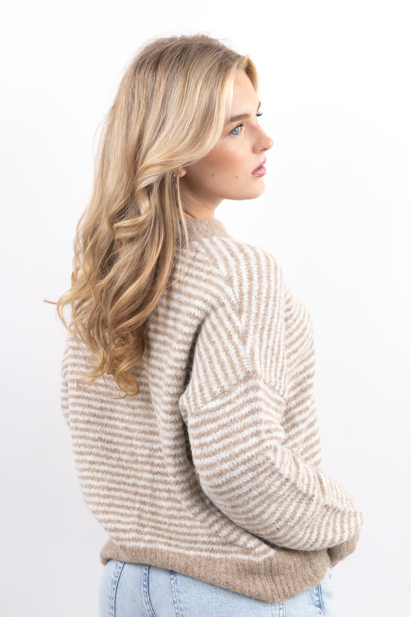 Cozy Neutral Stripe Sweater